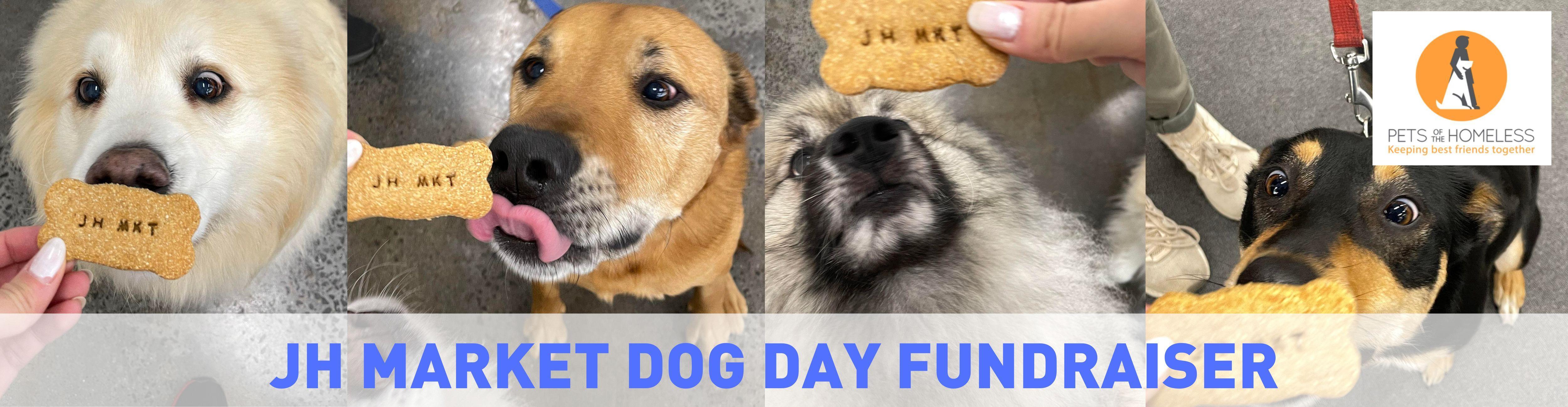International Dog Day Fundraiser